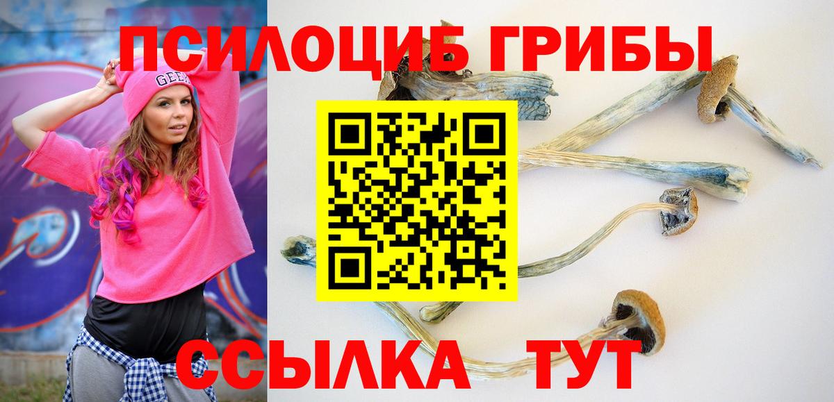 Уфа  Галлюциногенные грибы MAGIC MUSHROOMS  Вход с VPN  Псилоцибиновые грибы Magic Shrooms 